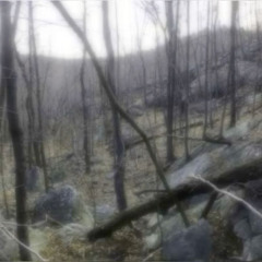 плесень