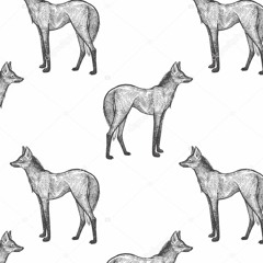 Fauna