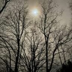 it rose but never shone