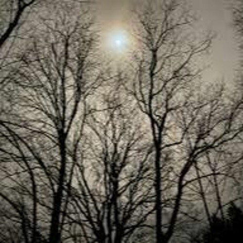 it rose but never shone