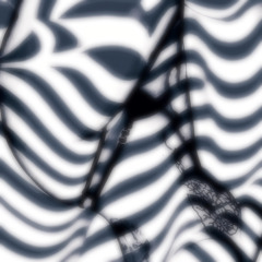 liquorice