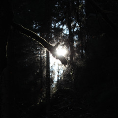 Inertia (Original Mix)