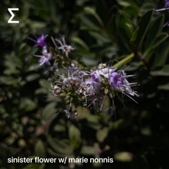 sinister flower