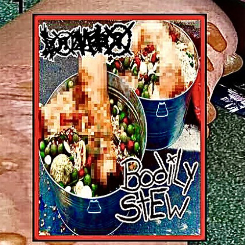 BODILY STEW - HUMAN BLISTER [SINGLE 2022]