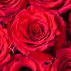 lovehatefeeling-nobuttholelovingformenthefuckedinthepenistheyloveitididlikealotilikeitalot