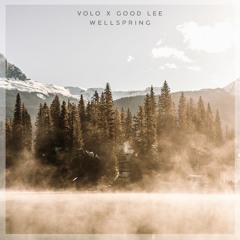 VOLO X Good Lee - Wellspring
