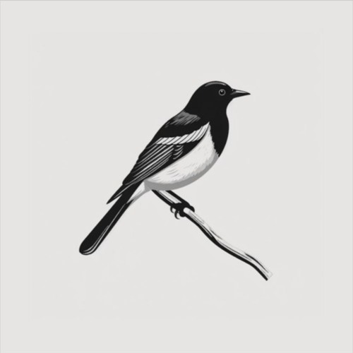 Full Orchestra #9 (Cacique Birds in the Amazon)