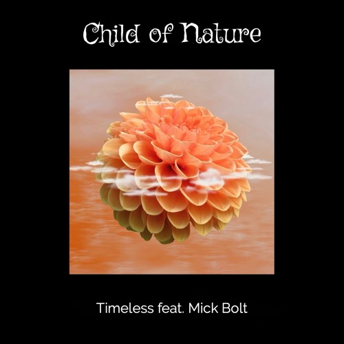 Timeless feat. Mick Bolt & Video Link