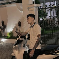 NST 2k25 Style TiNo – VietMix VOL 10