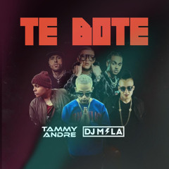 Nio Garcia, Bad Bunny, Ozuna, Nicky Jam - Te Botè (Tammy Andre, DJ Mila Extended Remix)