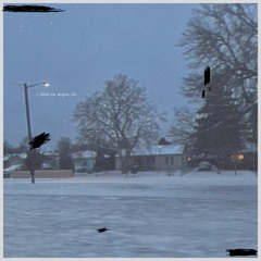 optimus amazon prime (nathan for you) (feat. grug)