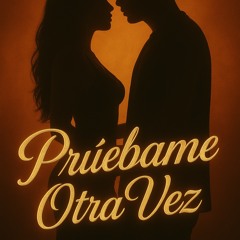 Pruebame otra vez proyecto
