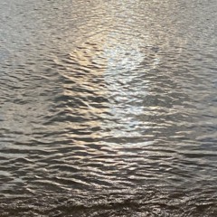 𝓼𝓵𝓮𝓮𝓹𝓸𝓿𝓮𝓻