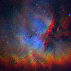 Gehirnlose Verstümmelung (!9o)