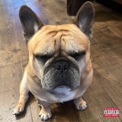 TedTalk (prod. woodoxha + welcomecarson)