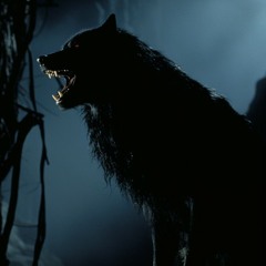 wolf rot (mashup) - Hollow