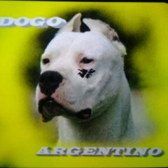 TE DISFRUTO  ((LIMPIA)) GRUPO SIN RAZZON ~ VERSION 2024