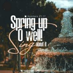 Spring Up Oh Well