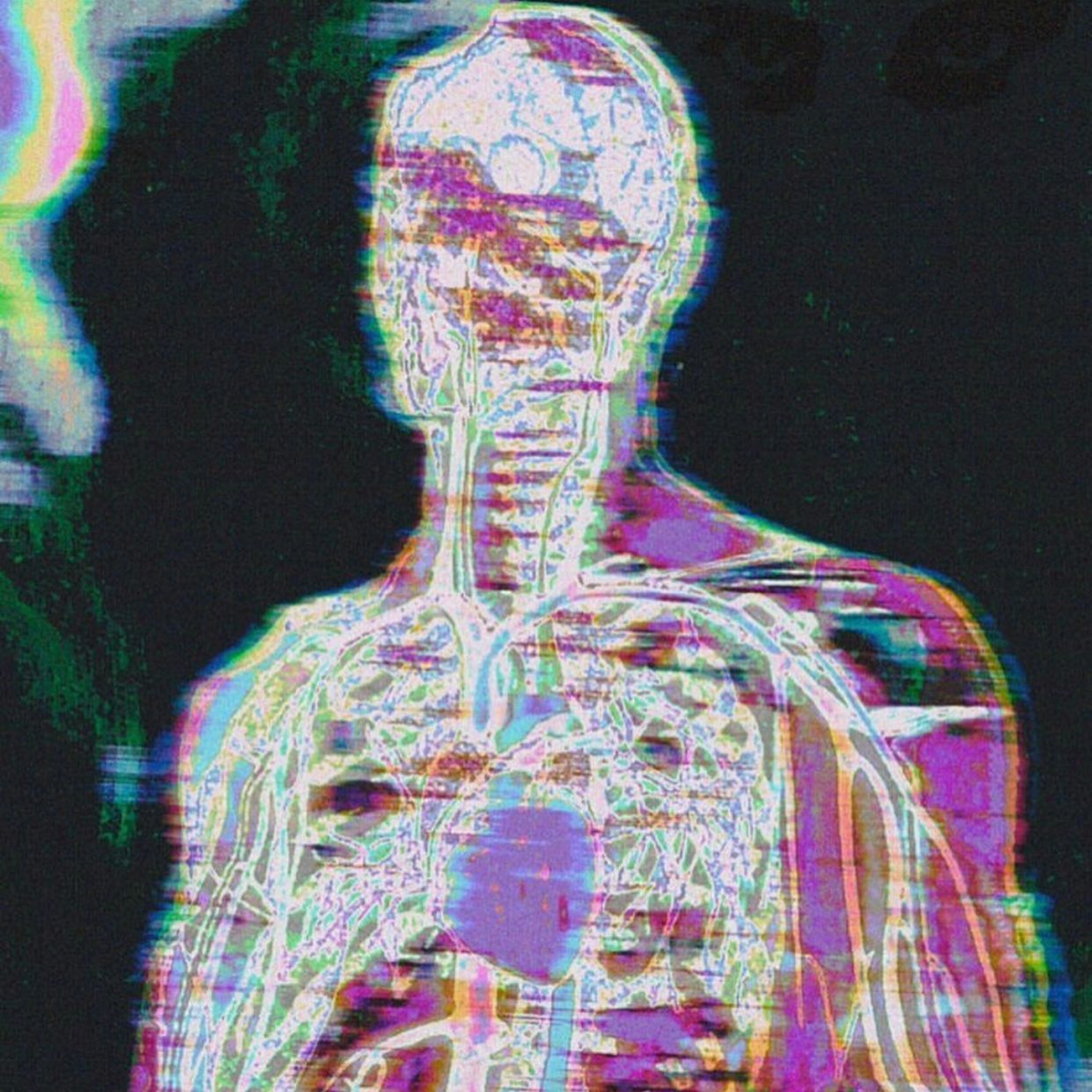 Webster The Doc