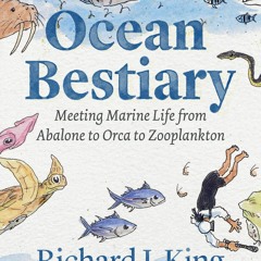 PDF Ocean Bestiary: Meeting Marine Life from Abalone to Orca to