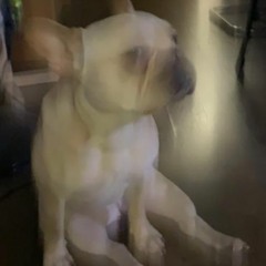 Dj Set Curandero Cumple Vesna