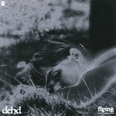 Dehd - Flying (Physical Medium Remix)