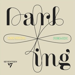 Seventeen - Darl+ing (Ichiro Yamazaki REMIX)