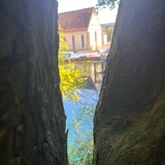 Die Flucht