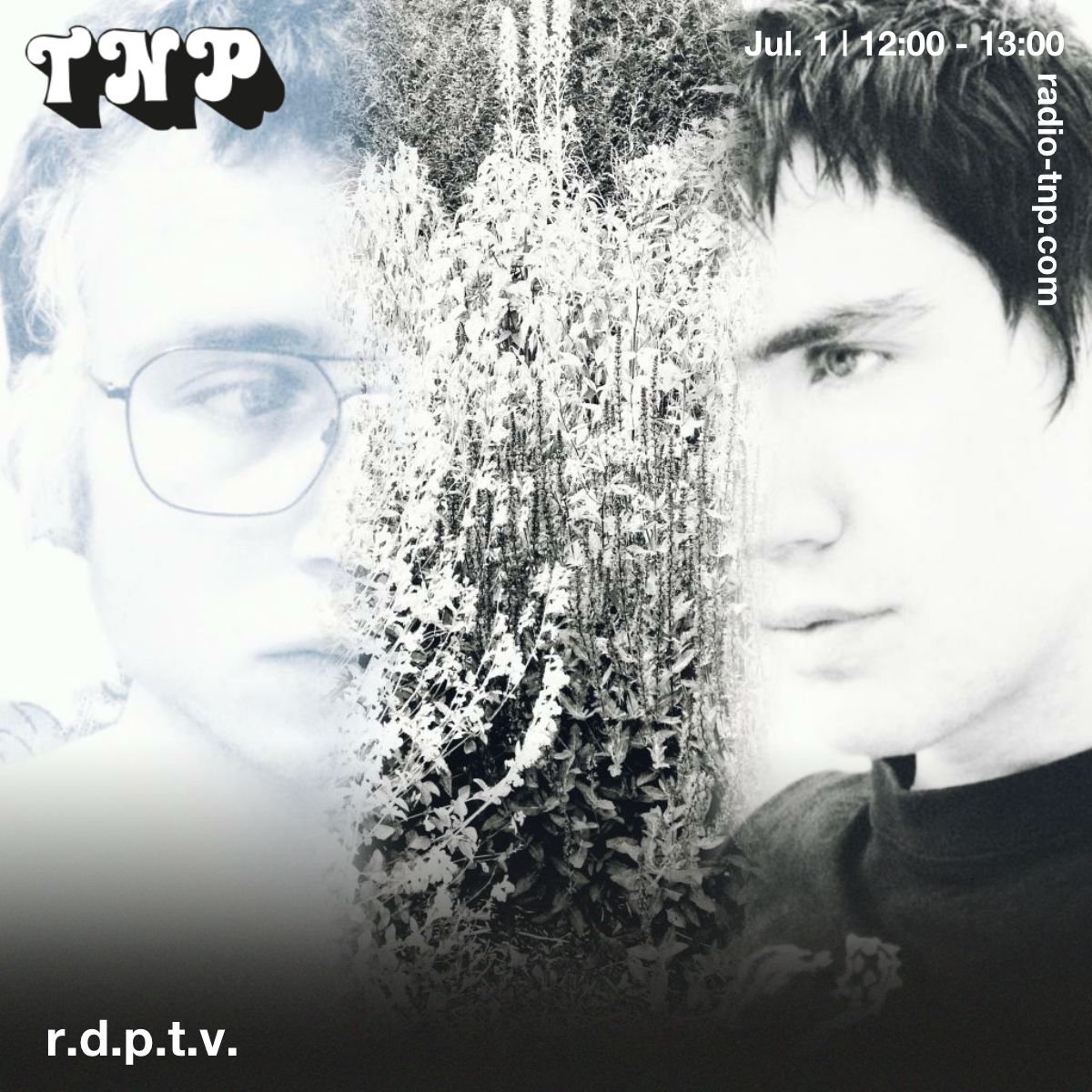 r.d.p.t.v.