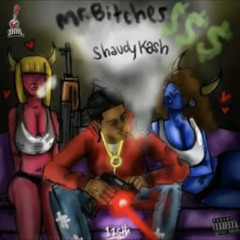 Shaudy Kash - Aint Gotta Lie