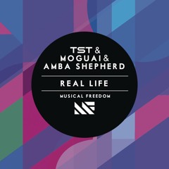 Real Life (Radio Edit)