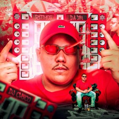 TIPO SHEIK NO BAGULHO - MC MAGRINHO E MC RENATINHO FALÇÃO ( DJ CHICO )