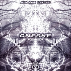 ATA Mix Series 010: gneske