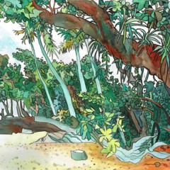 Jungle Beach