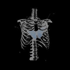 Adam Ahani [Prod. Novak x NimaAP]