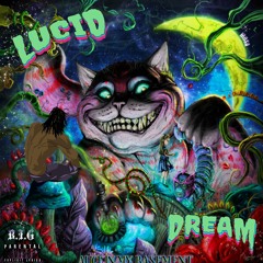 LUCID DREAM