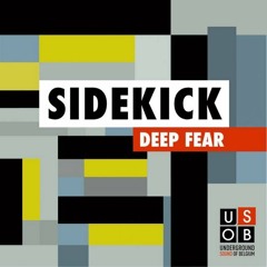 Snap Vs Sidekick - Deep Fear Is The Rythm (Kenzo´s Private Groovy)