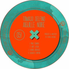 Tomaso Delfino - Aiguille Noire EP CR051