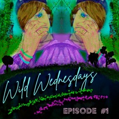 Wild Wednesday's Episode 1