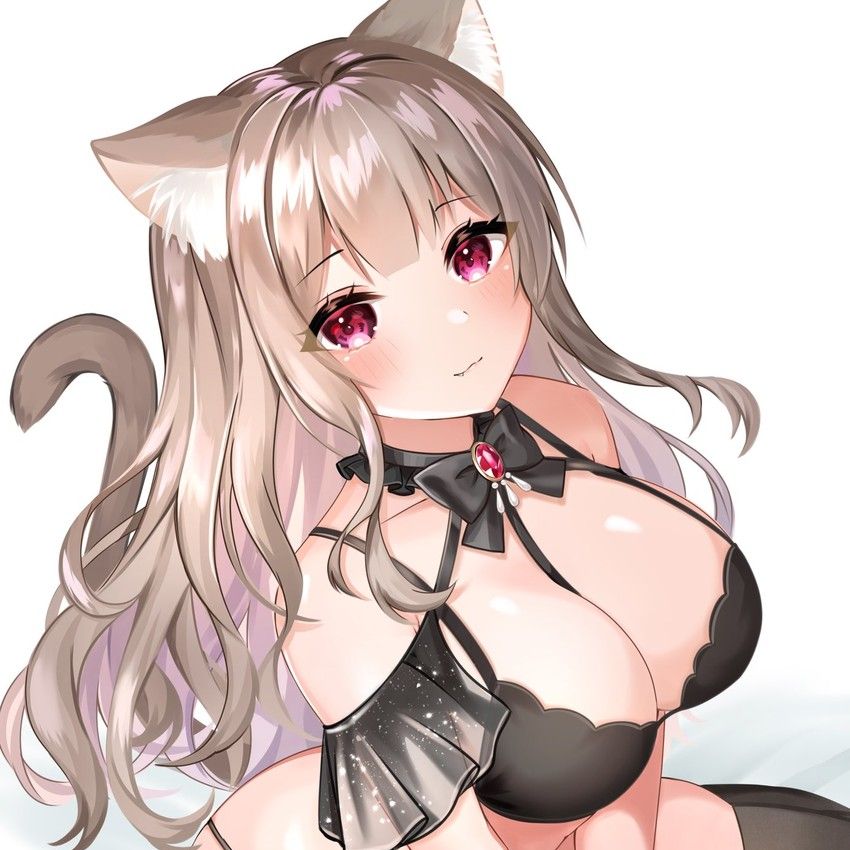 \ CAT GIRLS IN YOUR AREA ONLY 5KM AWAY ///