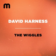 The Wiggles (Jackin' Mix)