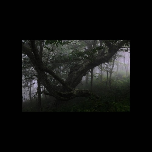 Poison Tree.