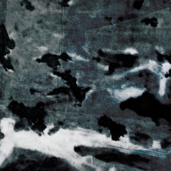Copy of Daily Drops