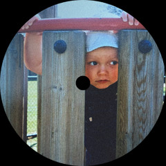 REFORMIST - DIURNAL ACTIVITY