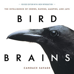 download EPUB 🧡 Bird Brains: The Intelligence of Crows, Ravens, Magpies, and Jays by