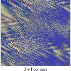 The Howness