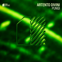 Artento Divini - Pungi [High Contrast Recordings]