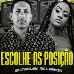 MC Marley e MC Larissa - Escolhe As Posição - De 4 Pode