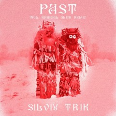 Silviu Trik - Past (Gabriel Slick Remix)