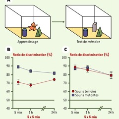 La théorie du souvenir et de l'oubli